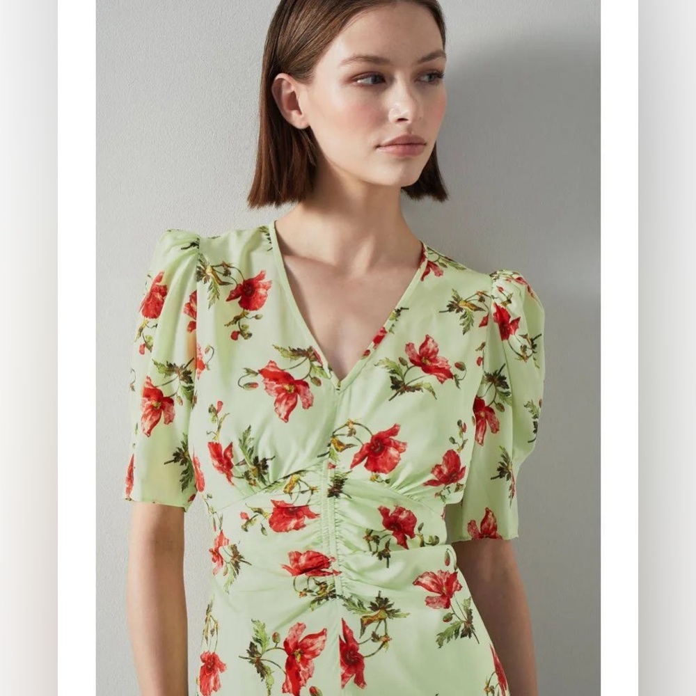 LK BENNETT Gabbi Green And Pink‎ Giant Poppy Print Stretch Silk Fairy Dress - Picture 14 of 16